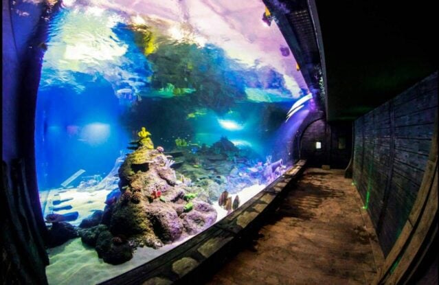 Skegness Aquarium