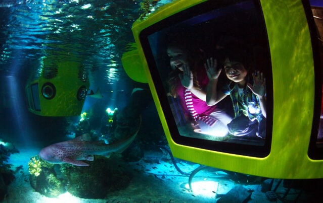 Dubai Legoland Aquarium