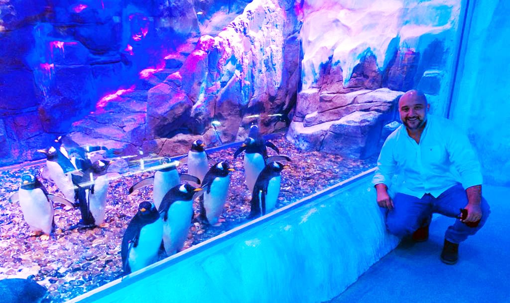 Erdem Akartepe at the Dubai Mall Penguins Exhibit