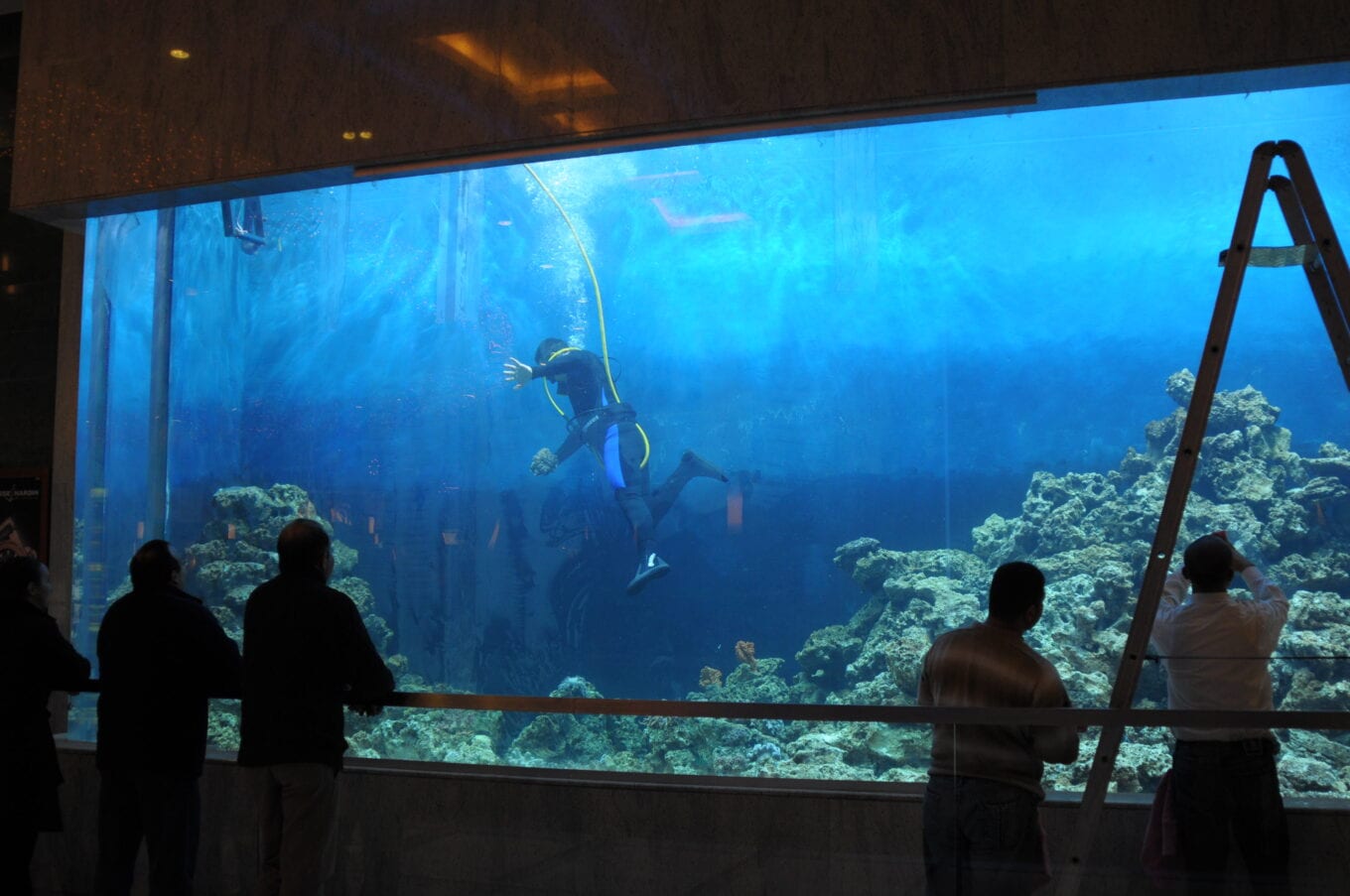 Operating first Turkey's large commercial aquarium tank at the Panora Mall