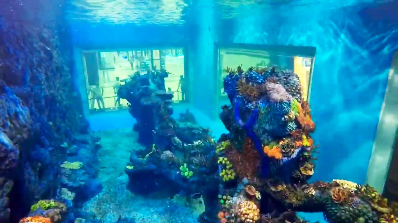 Hurghada City Center Aquarium
