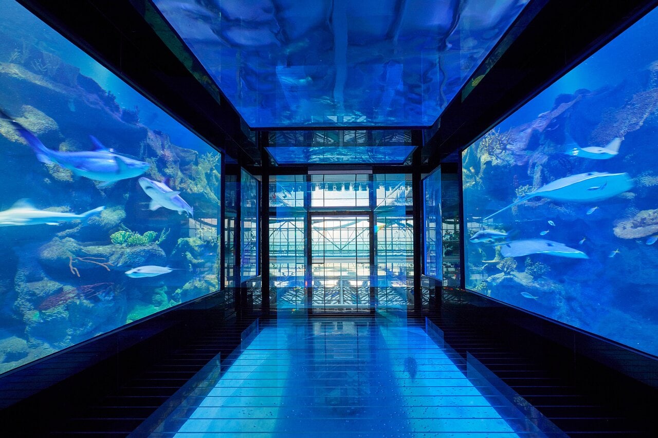 The Big Blue Aquarium