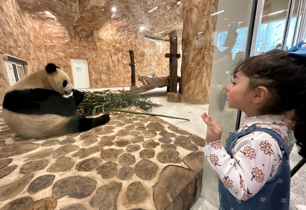 Panda Exhibit at Al Khor Park